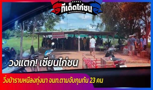 วงแตก! เซียนไก่วิ่งป่าราบ วงแตก! เซียนไก่วิ่งป่าราบ