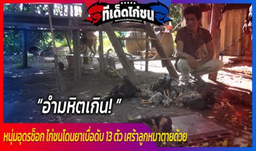 อำมหิตเกิน! หนุ่มอุดรช็อก ไก่ชนโดนยาเบื่อดับ 13 ตัว เศร้าลูกหมาตายด้วย อำมหิตเกิน! หนุ่มอุดรช็อก ไก่ชนโดนยาเบื่อดับ 13 ตัว เศร้าลูกหมาตายด้วย