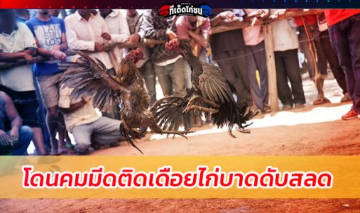 อึ้ง ตำรวจฟิลิปปินส์บุกจับแข่งไก่ชนผิดก.ม. โดนคมมีดติดเดือยไก่บาดดับสลด อึ้ง ตำรวจฟิลิปปินส์บุกจับแข่งไก่ชนผิดก.ม. โดนคมมีดติดเดือยไก่บาดดับสลด