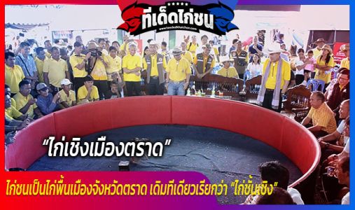 ไก่เชิงเมืองตราด สัตว์เศรษฐกิจตัวใหม่ ไก่เชิงเมืองตราด สัตว์เศรษฐกิจตัวใหม่