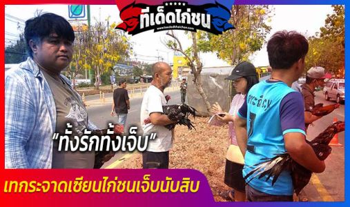 เซียนไก่ชนดวงยังดี รถยางระเบิดพลิกคว่ำ ไก่ชนโชคดีรอดตายทุกตัว เซียนไก่ชนดวงยังดี รถยางระเบิดพลิกคว่ำ ไก่ชนโชคดีรอดตายทุกตัว