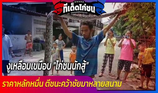 งูเหลือมเขมือบ  งูเหลือมเขมือบ