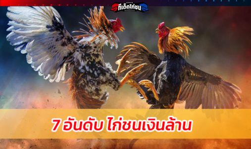 7 อันดับ ไก่ชนเงินล้าน  7 อันดับ ไก่ชนเงินล้าน