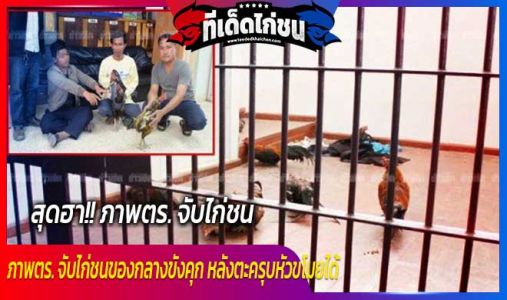 สุดฮา!! ภาพตร. จับไก่ชนของกลางขังคุก หลังตะครุบหัวขโมยได้ สุดฮา!! ภาพตร. จับไก่ชนของกลางขังคุก หลังตะครุบหัวขโมยได้