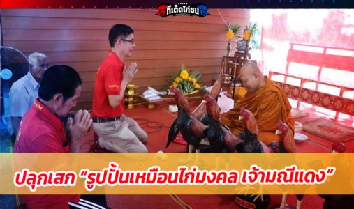 เจ้าของฟาร์มไก่ชื่อดัง นิมนต์พระอาจารย์แดง เกจิดังเมืองกรุงเก่า ปลุกเสกไก่มงคล  เจ้าของฟาร์มไก่ชื่อดัง นิมนต์พระอาจารย์แดง เกจิดังเมืองกรุงเก่า ปลุกเสกไก่มงคล