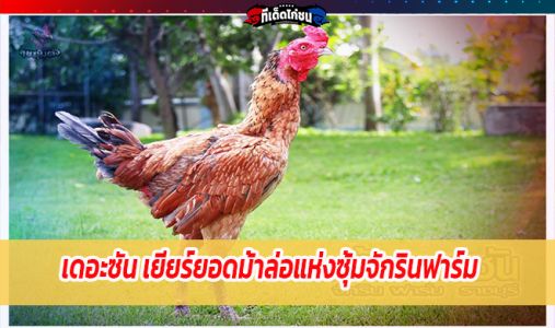 เดอะซัน เยียร์ยอดม้าล่อแห่งซุ้มจักรินฟาร์ม เดอะซัน เยียร์ยอดม้าล่อแห่งซุ้มจักรินฟาร์ม