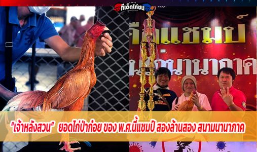 เจ้าหลังสวน ยอดไก่ป่าก๋อย ของ พ.ศ.นี้แชมป์ สองล้านสอง สนามนานาภาค วิหารแดง เจ้าหลังสวน ยอดไก่ป่าก๋อย ของ พ.ศ.นี้แชมป์ สองล้านสอง สนามนานาภาค วิหารแดง
