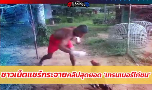 เทรนเนอร์ไก่ชน’ ชื่นชมเทรนเนอร์ลงทุนฝึกซ้อมไก่ชนด้วยตัวเอง ไม่กลัวได้รับบาดเจ็บ เทรนเนอร์ไก่ชน’ ชื่นชมเทรนเนอร์ลงทุนฝึกซ้อมไก่ชนด้วยตัวเอง ไม่กลัวได้รับบาดเจ็บ
