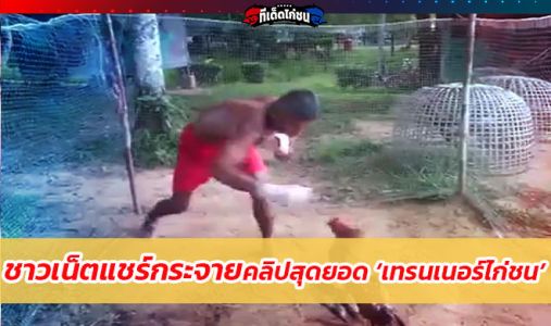 เทรนเนอร์ไก่ชน’ ชื่นชมเทรนเนอร์ลงทุนฝึกซ้อมไก่ชนด้วยตัวเอง ไม่กลัวได้รับบาดเจ็บ