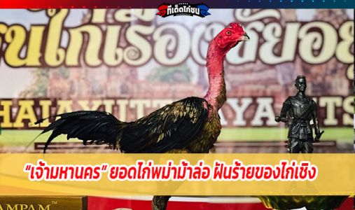 เจ้ามหานคร ยอดไก่พม่าม้าล่อ ฝันร้ายของไก่เชิง เจ้ามหานคร ยอดไก่พม่าม้าล่อ ฝันร้ายของไก่เชิง