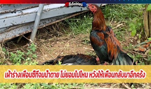 เฝ้าร่างเพื่อนซี้ที่จมน้ำตาย ไม่ยอมไปไหน หวังให้เพื่อนกลับมาอีกครั้ง  เฝ้าร่างเพื่อนซี้ที่จมน้ำตาย ไม่ยอมไปไหน หวังให้เพื่อนกลับมาอีกครั้ง