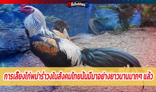 ไก่พม่ารำวง เป็นชื่อของสายพันธุ์ไก่ชนในตระกูลไก่พม่าสายพันธุ์หนึ่ง ไก่พม่ารำวง เป็นชื่อของสายพันธุ์ไก่ชนในตระกูลไก่พม่าสายพันธุ์หนึ่ง