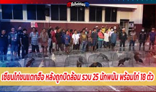 เซียนไก่ชนแตกฮือ หลังถูกปิดล้อม รวบ 25 นักพนัน พร้อมไก่ 18 ตัว เซียนไก่ชนแตกฮือ หลังถูกปิดล้อม รวบ 25 นักพนัน พร้อมไก่ 18 ตัว