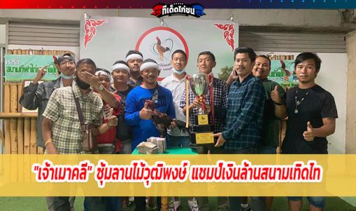 เจ้าเมาคลี ซุ้มลานไม้วุฒิพงษ์ เเชมป์เงินล้านสนามไก่ชนเทิดไท 