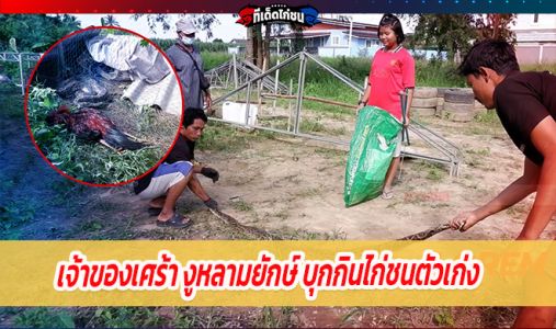 เจ้าของเศร้า งูหลามยักษ์ บุกกินไก่ชนตัวเก่ง แต่ถูกอวนพันหนีไม่รอด เจ้าของเศร้า งูหลามยักษ์ บุกกินไก่ชนตัวเก่ง แต่ถูกอวนพันหนีไม่รอด