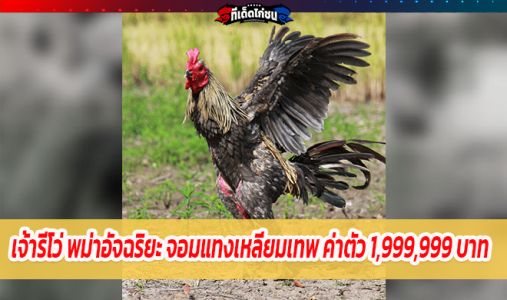 เจ้ารีโว่ พม่าอัจฉริยะ จอมแทงเหลี่ยมเทพ ค่าตัว1,999,999 บาท 