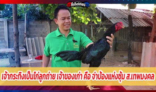 เจ้ากระทิง พิกัด 3.2  เป็นไก่ลูกถ่าย เจ้าของเก่า คือ จ่าป้อง แห่งซุ้ม ส.เทพมงคล เจ้ากระทิง พิกัด 3.2  เป็นไก่ลูกถ่าย เจ้าของเก่า คือ จ่าป้อง แห่งซุ้ม ส.เทพมงคล