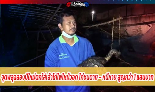 จุดพลุฉลองปีใหม่ตกใส่เล้าไก่ไฟไหม้วอด ไก่ชนตาย – หนีหาย สูญกว่า 1 แสนบาท จุดพลุฉลองปีใหม่ตกใส่เล้าไก่ไฟไหม้วอด ไก่ชนตาย – หนีหาย สูญกว่า 1 แสนบาท