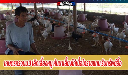 เกษตรกรจบม.3 เลิกเลี้ยงหมู หันมาเลี้ยงไก่เนื้อโคราชแทน รับทรัพย์อื้อ เกษตรกรจบม.3 เลิกเลี้ยงหมู หันมาเลี้ยงไก่เนื้อโคราชแทน รับทรัพย์อื้อ