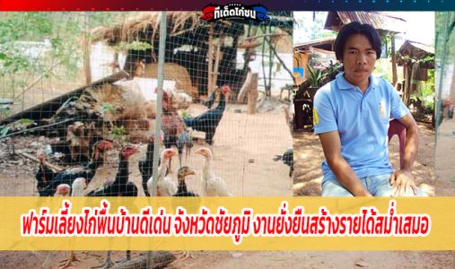 ฟาร์มเลี้ยงไก่พื้นบ้านดีเด่น จังหวัดชัยภูมิ งานยั่งยืนสร้างรายได้สม่ำเสมอ ฟาร์มเลี้ยงไก่พื้นบ้านดีเด่น จังหวัดชัยภูมิ งานยั่งยืนสร้างรายได้สม่ำเสมอ