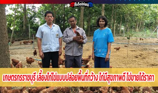 เกษตรกรราชบุรี เลี้ยงไก่ไข่แบบปล่อยพื้นที่กว้าง ไก่มีสุขภาพดี ไข่ขายได้ราคา เกษตรกรราชบุรี เลี้ยงไก่ไข่แบบปล่อยพื้นที่กว้าง ไก่มีสุขภาพดี ไข่ขายได้ราคา