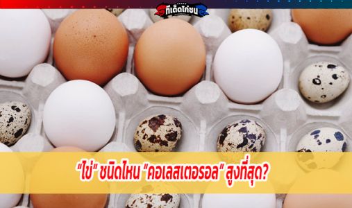 “ไข่” ชนิดไหน “คอเลสเตอรอล” สูงที่สุด?
