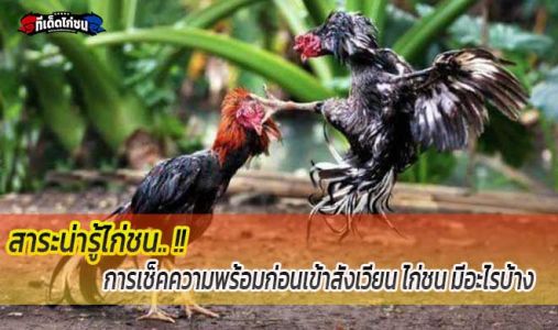 สาระน่ารู้..... #การเช็คความพร้อมก่อนเข้าสังเวียน สาระน่ารู้..... #การเช็คความพร้อมก่อนเข้าสังเวียน