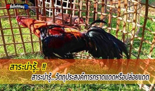 สาระน่ารู้... วัตถุประสงค์การกราดแดดหรือปล่อยแดด สาระน่ารู้... วัตถุประสงค์การกราดแดดหรือปล่อยแดด