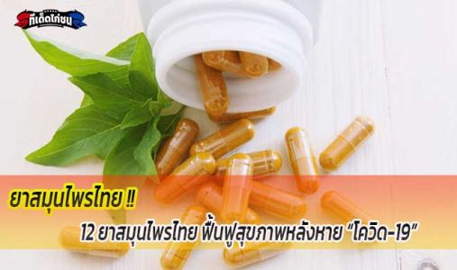 12 ยาสมุนไพรไทย ฟื้นฟูสุขภาพหลังหาย “โควิด-19” 12 ยาสมุนไพรไทย ฟื้นฟูสุขภาพหลังหาย “โควิด-19”