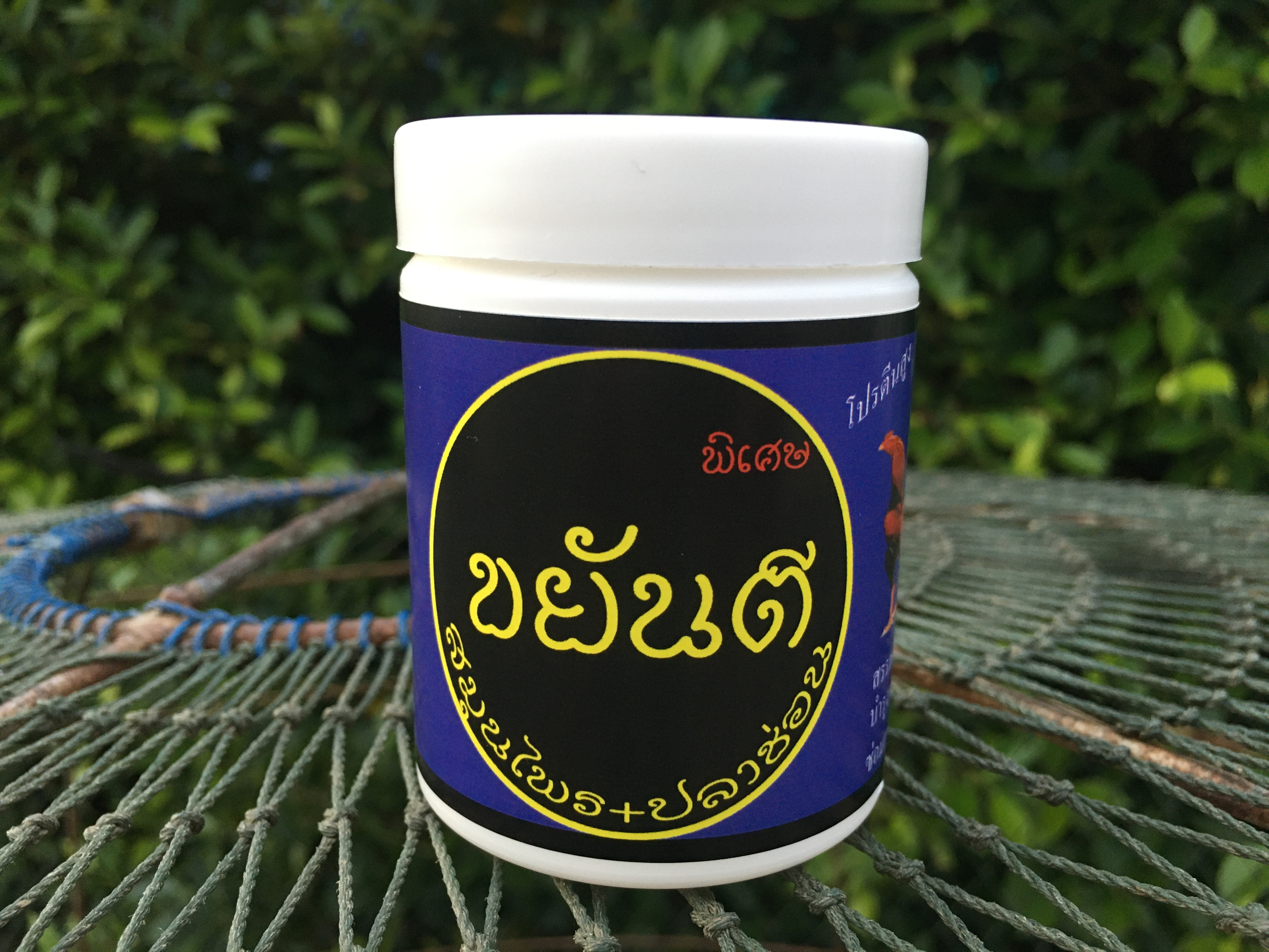 ยาบำรุงกำลังบำรุงร่างกาย ขยันตี